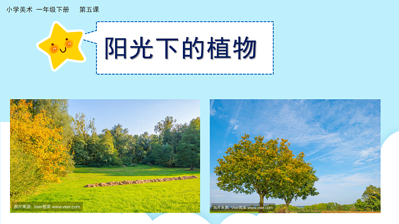 美术岭南版一年级下册 第五课《阳光下成长》课件第3页