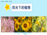 美術(shù)嶺南版一年級(jí)下冊(cè) 第5課《陽(yáng)光下成長(zhǎng)》課件+教案