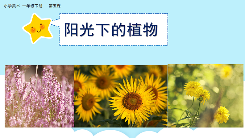 美术岭南版一年级下册 第五课《阳光下成长》课件第4页