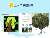 美術(shù)嶺南版一年級(jí)下冊(cè) 第6課《共植友誼樹(shù)》課件+教案