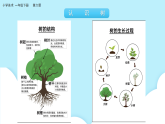 美術(shù)嶺南版一年級(jí)下冊(cè) 第6課《共植友誼樹(shù)》課件+教案