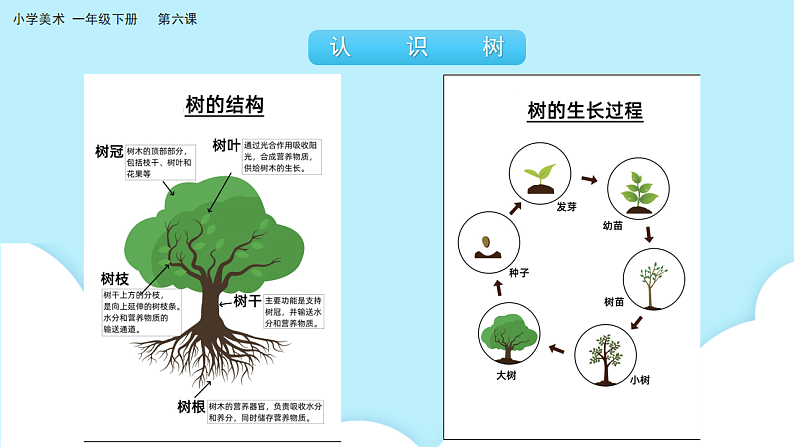 美术岭南版一年级下册 第六课《共植友谊树》课件第4页