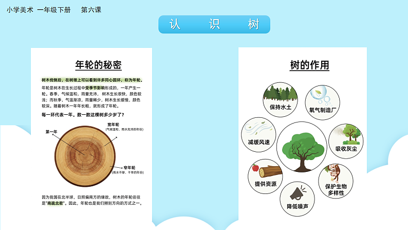 美术岭南版一年级下册 第六课《共植友谊树》课件第5页