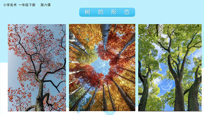 美术岭南版一年级下册 第六课《共植友谊树》课件第6页