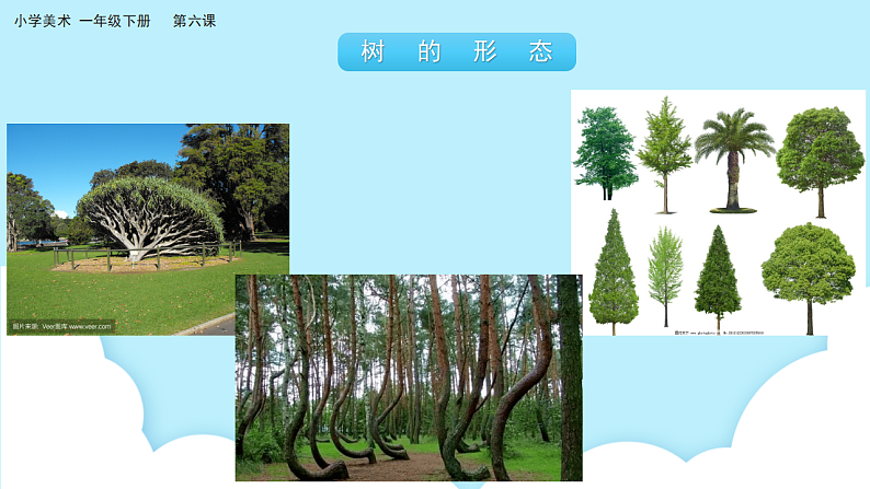 美术岭南版一年级下册 第六课《共植友谊树》课件第7页