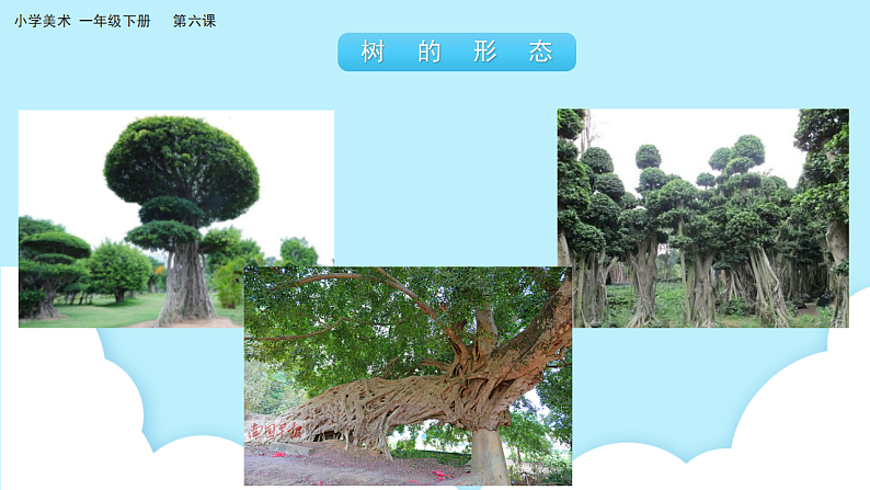 美术岭南版一年级下册 第六课《共植友谊树》课件第8页