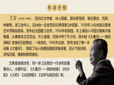 部编版2025高中语文选择性必修下册《大堰河——我的保姆》 课件