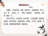 部编版2025高中语文选择性必修下册11 《种树郭橐驼传》 课件