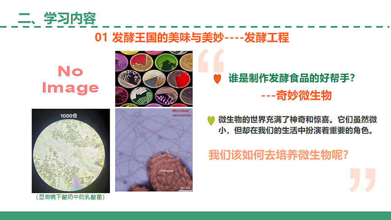 【开学第一课】2025年春季高中生物高二下学期（人教版2019选择性必修3）开学第一课课件第6页