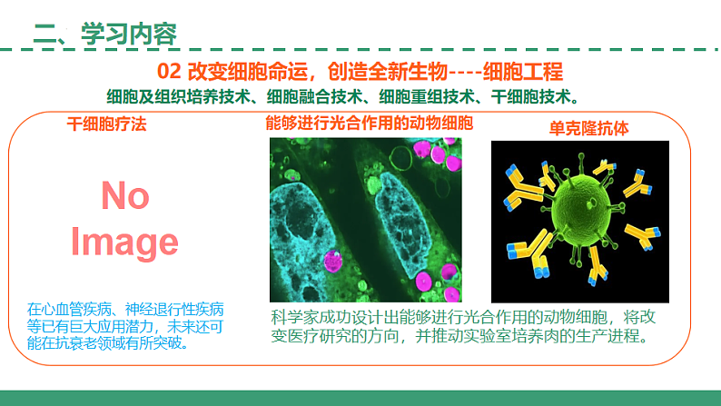 【开学第一课】2025年春季高中生物高二下学期（人教版2019选择性必修3）开学第一课课件第7页