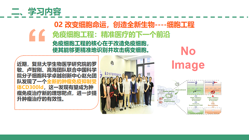 【开学第一课】2025年春季高中生物高二下学期（人教版2019选择性必修3）开学第一课课件第8页