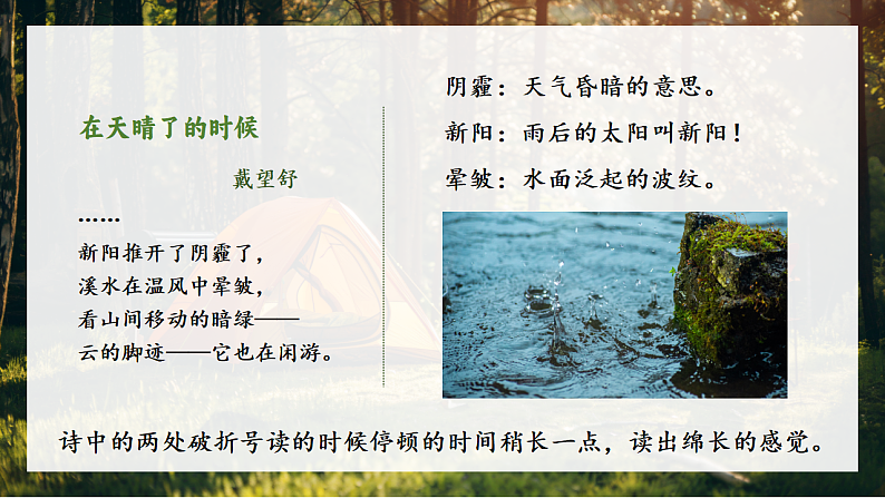 16685502第7页