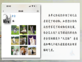 部编版2025四年级语文下册4.13 《猫》 课件