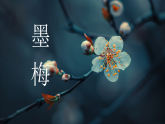 部編版2025四年級(jí)語(yǔ)文下冊(cè)7.22《墨梅》 課件