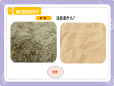 【核心素養(yǎng)】蘇教版科學(xué)一年級(jí)下冊(cè) 1.2玩沙子 同步課件+同步教案