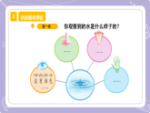 【核心素養(yǎng)】蘇教版科學(xué)一年級下冊 2.4 水是什么樣的 同步課件