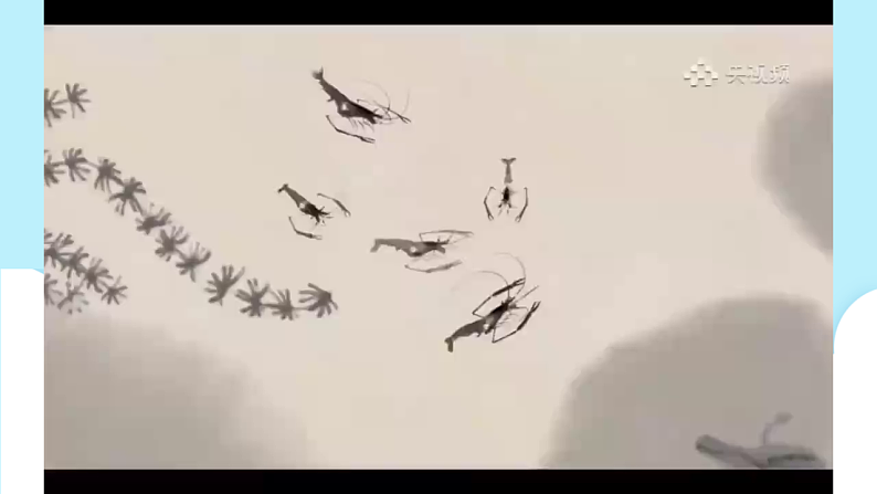 美术岭南版一年级下册 第十七课《会变魔术的水墨》教案第2页