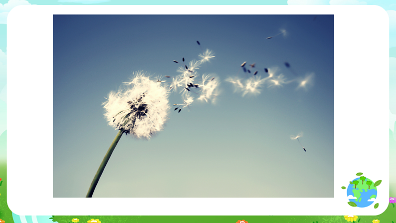 青岛版（五四制）科学五下19《生物的启示》课件第2页