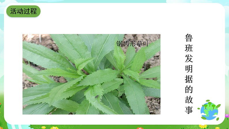 青岛版（五四制）科学五下19《生物的启示》课件第8页