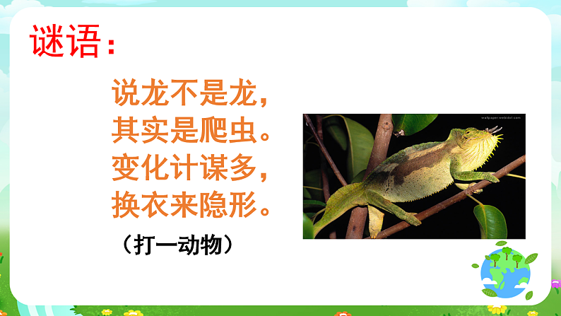 青岛版（五四制）科学四下4.16《变色龙》课件第2页