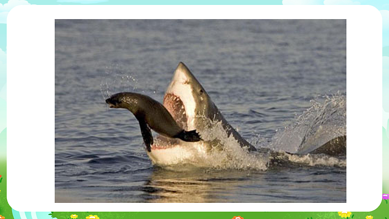 青岛版（五四制）科学四下4.19《密切联系的生物界》课件第2页