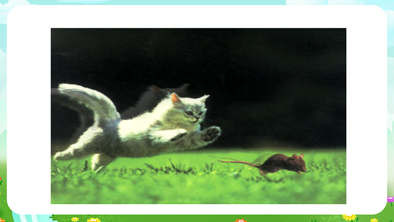 青岛版（五四制）科学四下4.19《密切联系的生物界》课件第3页