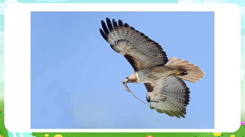 青岛版（五四制）科学四下4.19《密切联系的生物界》课件第4页