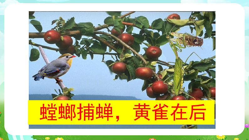 青岛版（五四制）科学四下4.19《密切联系的生物界》课件第5页