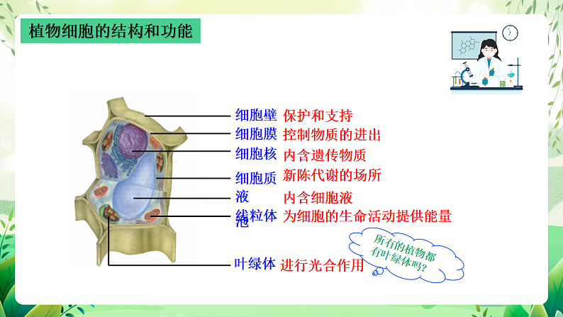 沪教版生物八下4.1.1《植物体的结构层次》课件第5页
