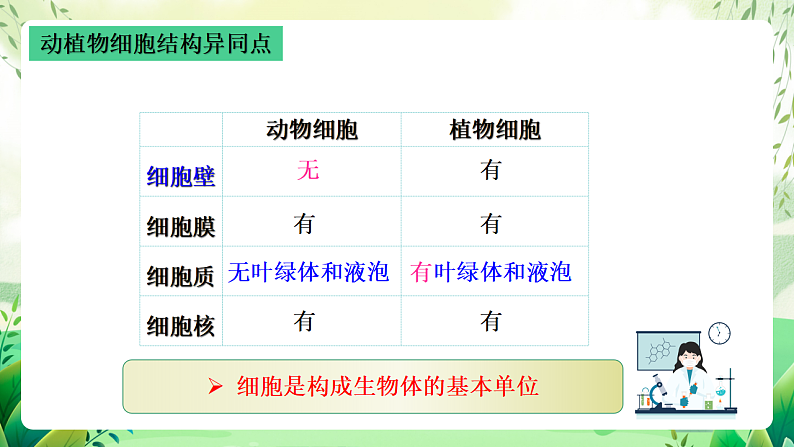 沪教版生物八下4.1.1《植物体的结构层次》课件第7页