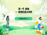 沪教版生物八下4.1.2《植物的基本类群》课件