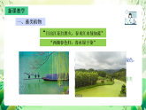 沪教版生物八下4.1.2《植物的基本类群》课件