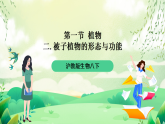 沪教版生物八下4.1.3《叶的结构与功能》课件