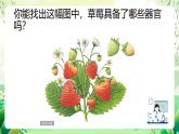 沪教版生物八下4.1.3《叶的结构与功能》课件