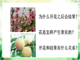 沪教版生物八下4.1.4《花的结构与植物的繁殖》课件