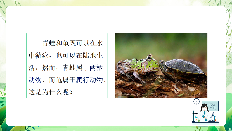 沪教版生物八下4.2.1《脊椎动物（二）两栖类和爬行类》课件第2页