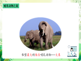 沪教版生物八下4.2.1《脊椎动物（四）哺乳类》课件