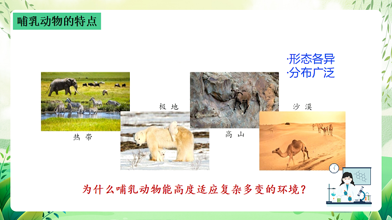 沪教版生物八下4.2.1《脊椎动物（四）哺乳类》课件第7页