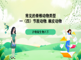 沪教版生物八下4.2.2《无脊椎动物 （四）节肢动物、棘皮动物》课件