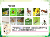 沪教版生物八下4.2.2《无脊椎动物 （四）节肢动物、棘皮动物》课件