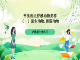 沪教版生物八下4.2.2《无脊椎动物+（一）原生、腔肠动物》课件