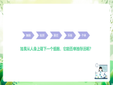 沪教版生物八下4.2.2《无脊椎动物+（一）原生、腔肠动物》课件