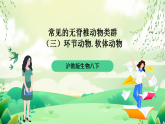 沪教版生物八下4.2.2《无脊椎动物（三）+环节动物、软体动物》课件