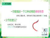 沪教版生物八下4.2.2《无脊椎动物（三）+环节动物、软体动物》课件