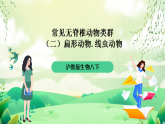 沪教版生物八下4.2.2《无脊椎动物（二） 扁形动物、线虫动物》课件