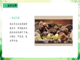 沪教版生物八下4.2.2《无脊椎动物（二） 扁形动物、线虫动物》课件