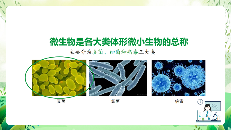 沪教版生物八下4.3.1《微生物（一）真菌》课件第2页