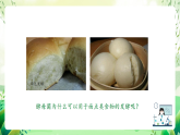 沪教版生物八下4.3.1《微生物（一）真菌》课件