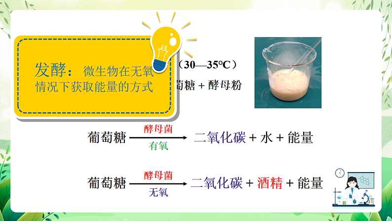 沪教版生物八下4.3.1《微生物（一）真菌》课件第8页