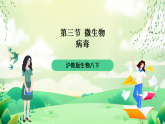 沪教版生物八下4.3.1《微生物（三）病毒》课件